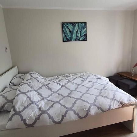 Apartament Sztukateria Podgórzyn Zewnętrze zdjęcie